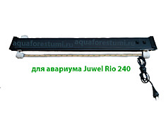 Juwel Rio 240