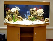 аквариум превдоморе обслуживание 
